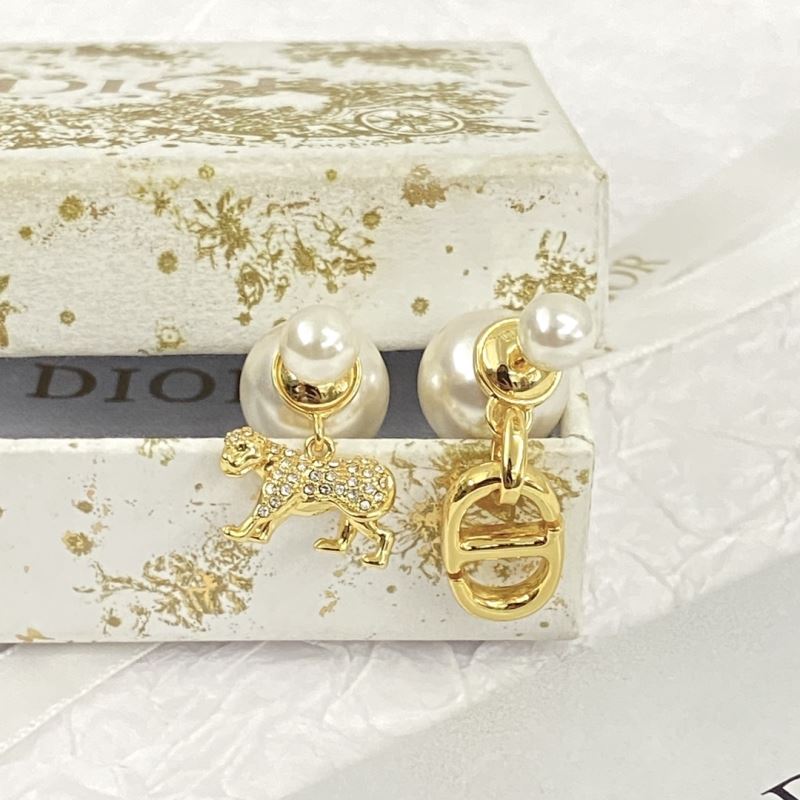 Christian Dior Earrings